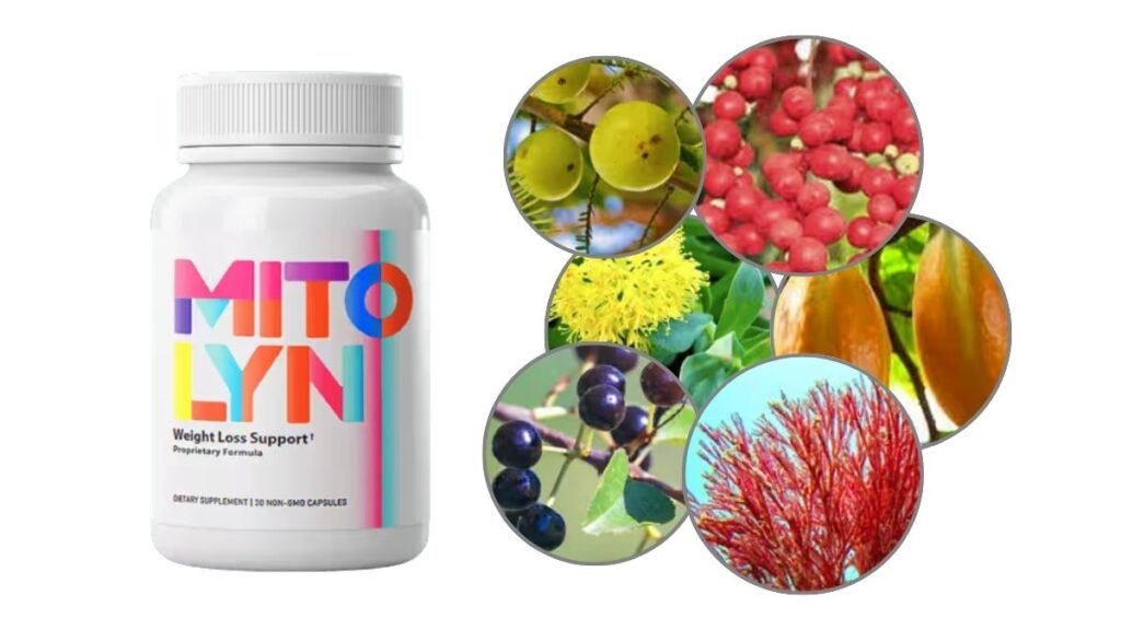 Main Ingredients in Mitolyn