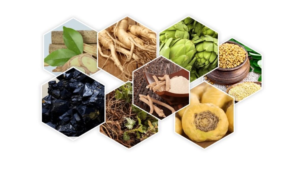 Main Ingredients in ProstaVive