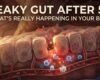 Leaky Gut After 50 Whats Really Happening in Your Body